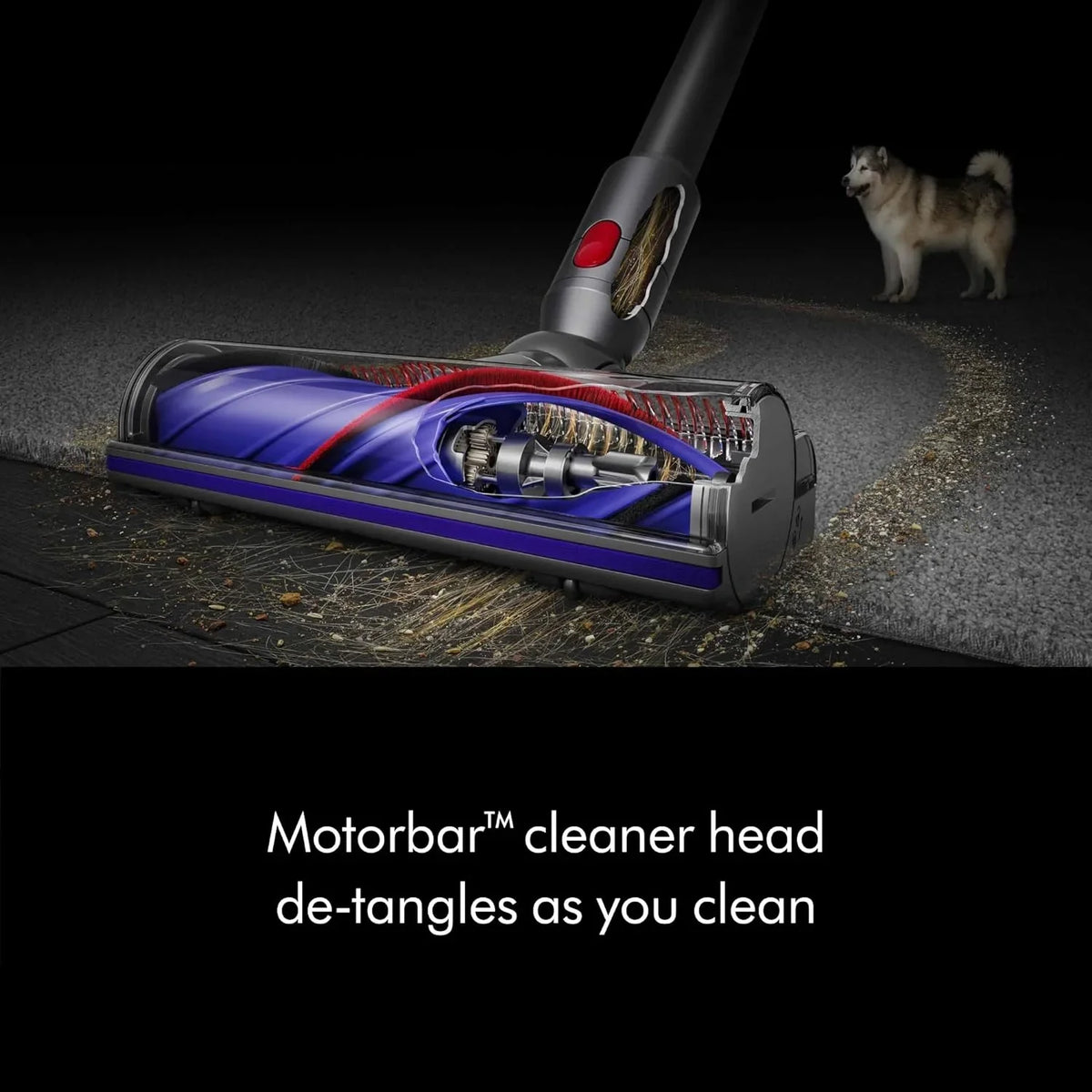 Dyson V8 Cordless Vacuum Cleaner - image 15
