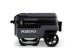 Premium Hard-Sided Cooler - image 17