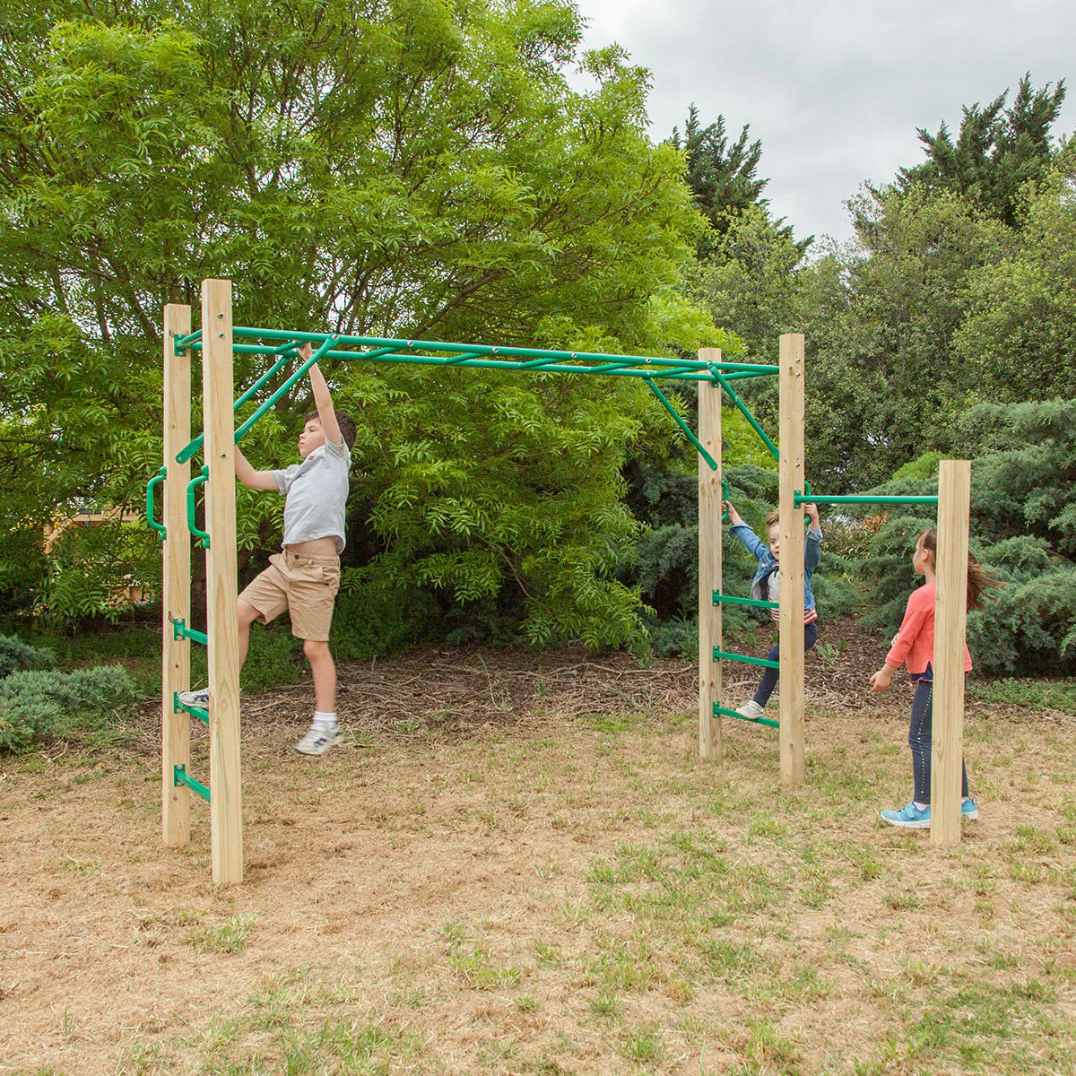 Lifespan Kids Amazon 2.5m Monkey Bar Set - image 3
