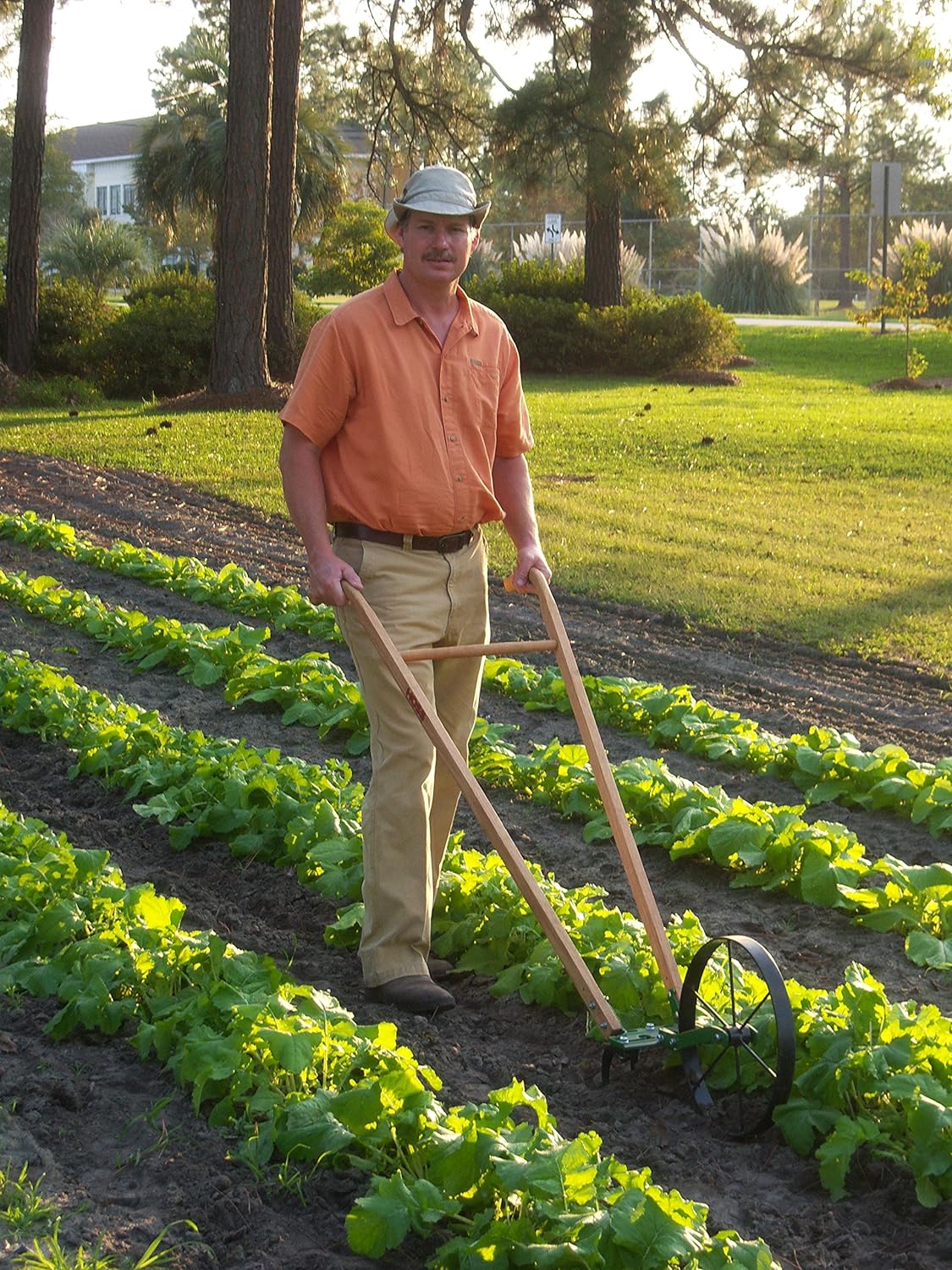 Single Wheel Hoe / Cultivate, Weed, Plow and Maintain Your Garden! - image 2