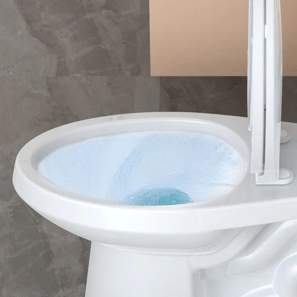 Elongated Two-Piece Toilet with Soft-Close Seat and 1.28 GPF Siphonic Flush - image 7