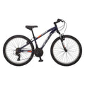 Schwinn Boy Ranger 24 Mountain bike- Silver Red - image 1