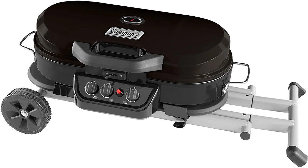 285 Portable Stand-Up Propane Grill - image 23