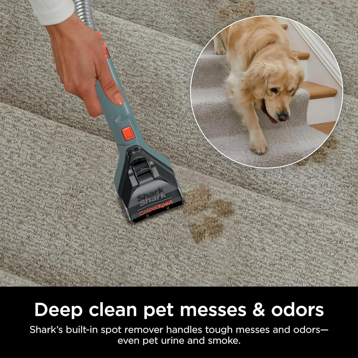 Shark CarpetXpert EX201 Carpet Cleaner, Cyan – Deep Cleaning with StainStriker, Perfect for Pets, Includes Spot & Stain Remover Tools - image 21
