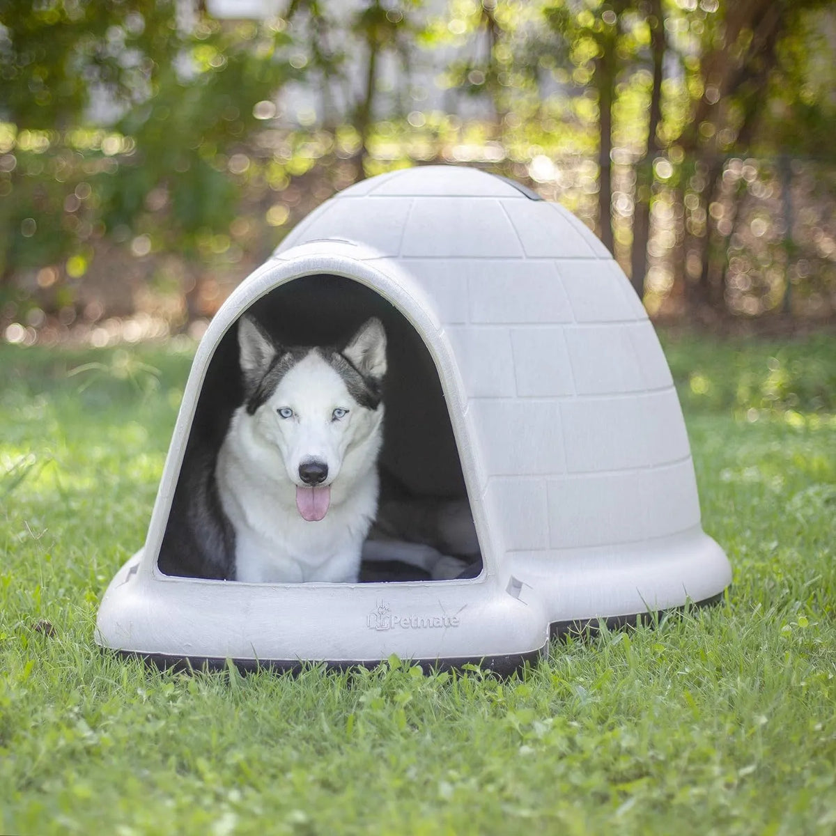 Petmate Indigo Dog House (Igloo Dog House. Made in USA with 90% Recycled Materials. All-Weather Protection Pet - image 20