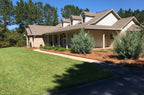 Premium Long Needle / Pine Straw Mulch / 300 Sqft - image 3