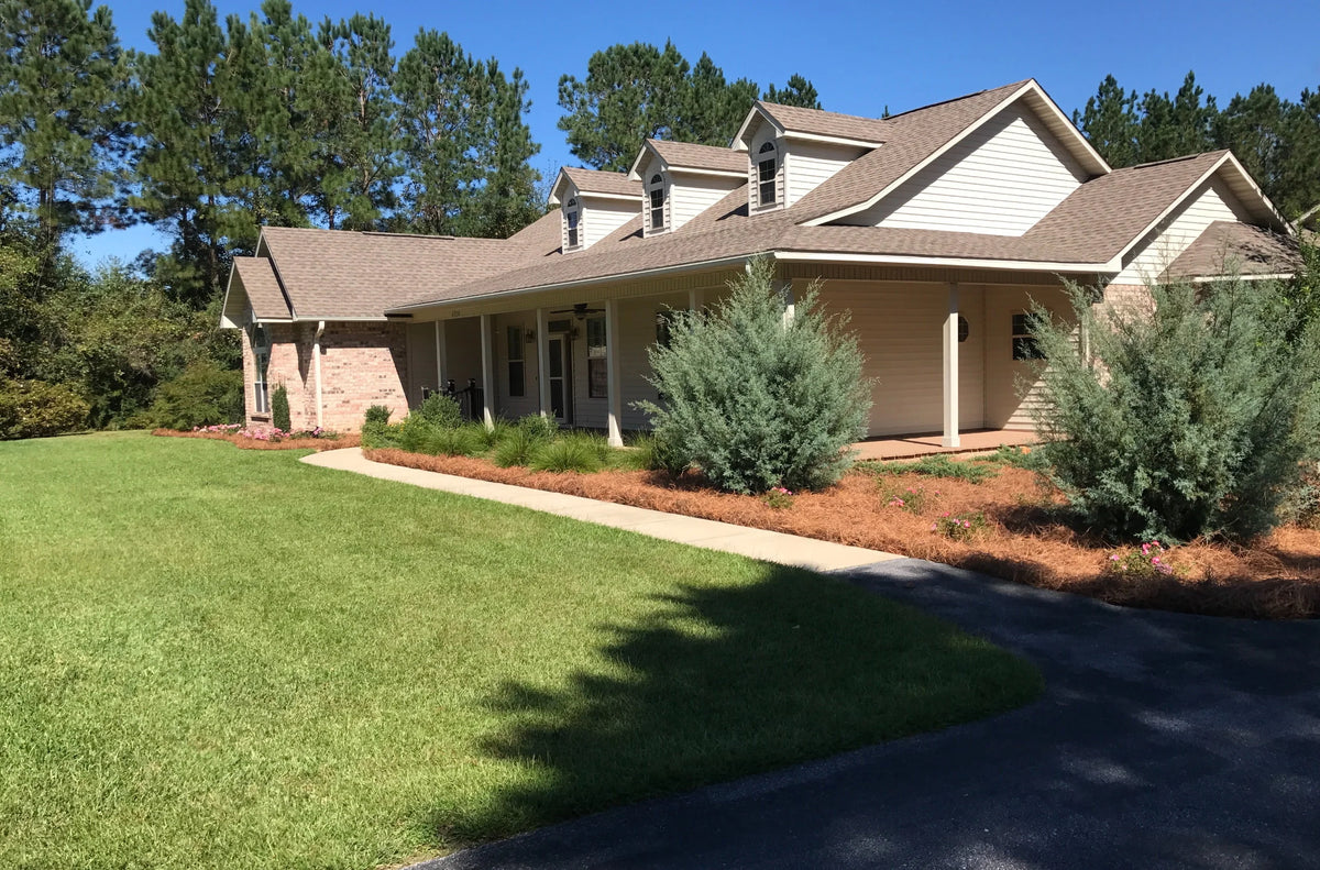 Premium Long Needle / Pine Straw Mulch / 300 Sqft - image 3