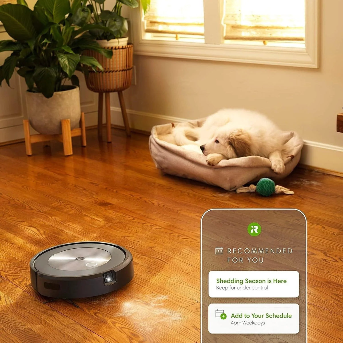 j7+ Self-Emptying Robot Vacuum, Renewed - image 2