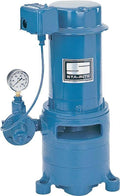 Sta-Rite MS Series 1HP Vertical Multi-Stage Pump for Deep Wells, Cast Iron Body, Stainless Steel Shaft - image 1