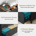 2-Drawer Lateral File Cabinet for Office Organization - image 29
