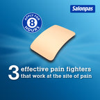 Salonpas Pain Relieving Patch, 140 Patches - image 2