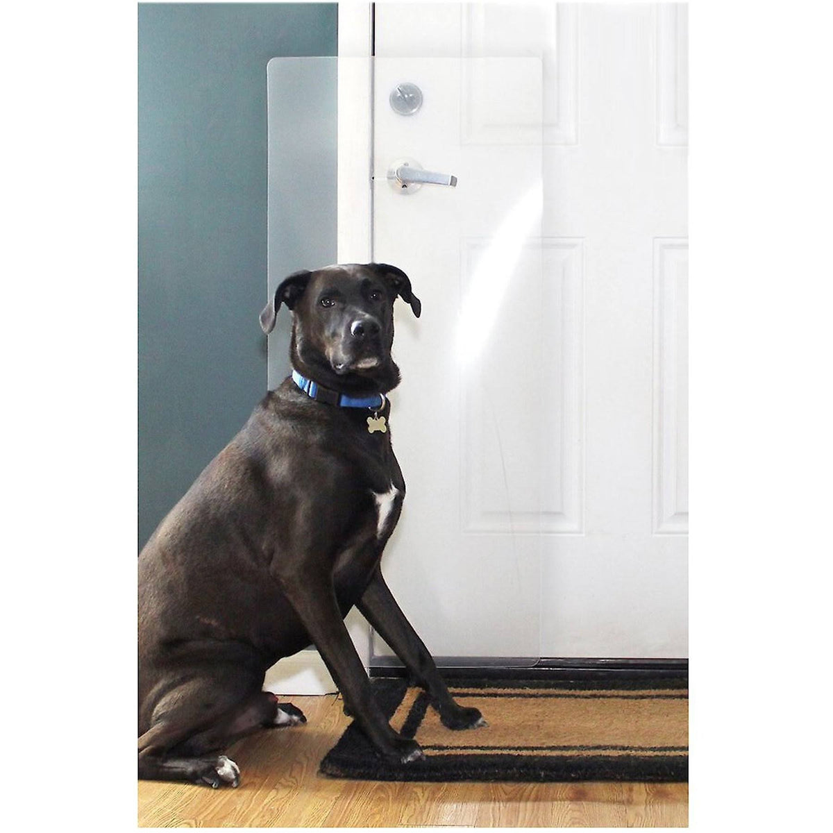 Heavy Duty CLAWGUARD - Big Dog Scratch Shield - Ultimate Door Frame and Wall - image 1