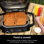 7-in-1 Grill & Smoker with Thermometer, Air Fryer, BBQ, Bake, Roast, Broil - Portable Electric Outdoor Grill, Grey - image 23