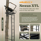 Ladder Tree Stand, 20ft, 500lb Capacity, 2-Person - image 2