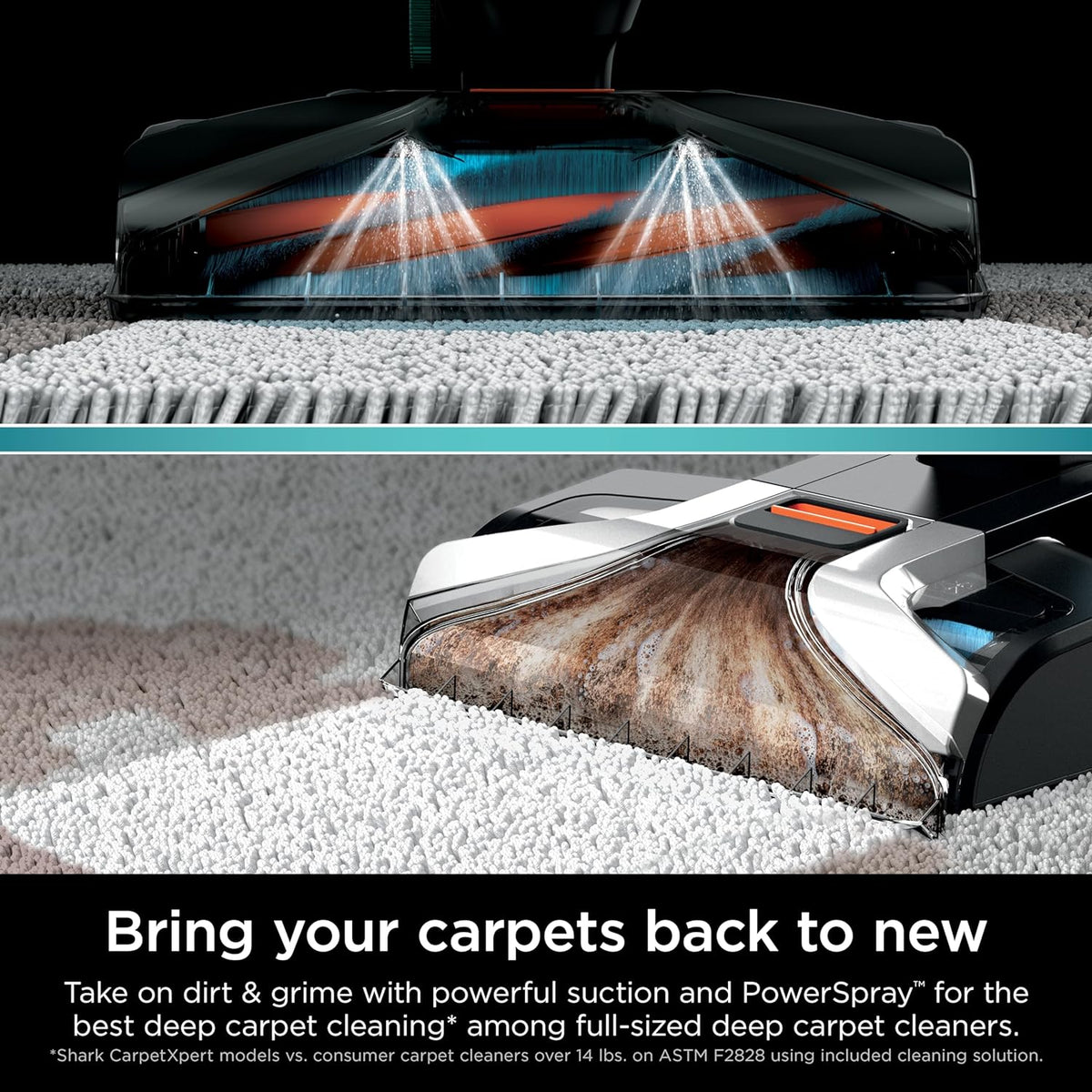 Shark CarpetXpert EX201 Carpet Cleaner, Cyan – Deep Cleaning with StainStriker, Perfect for Pets, Includes Spot & Stain Remover Tools - image 3