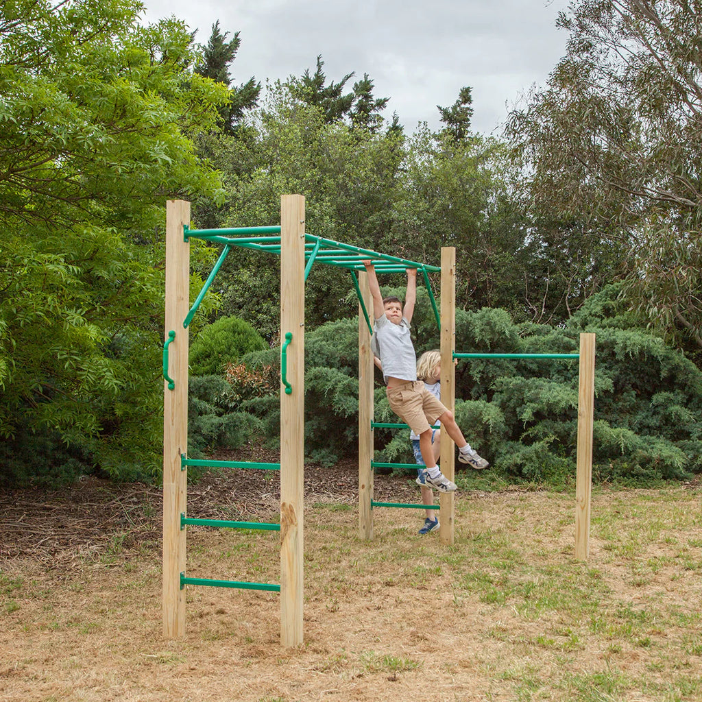 Lifespan Kids Amazon 2.5m Monkey Bar Set - image 6