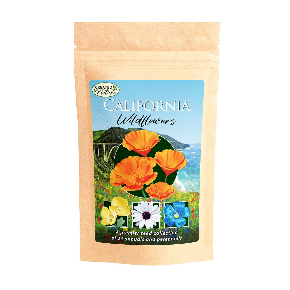 California Wildflower Seed Mix - Over 54,000 Premium Seeds - image 1