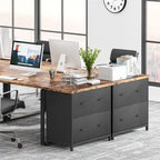 2-Drawer Lateral File Cabinet for Office Organization - image 33