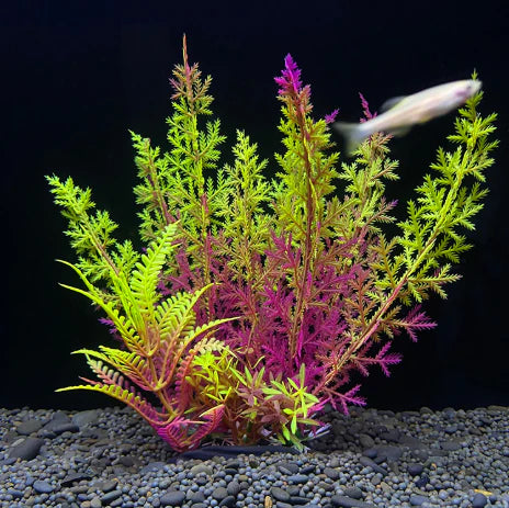 Fish Tank Decoration Artificial Aquarium Plant Plastic Water Plant - image 15