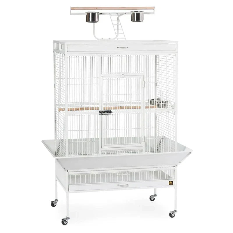Wrought Iron Select Bird Cage 3154C, Chalk White, 36-Inch by 24-Inch by 66-Inch - image 1