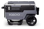 Premium Hard-Sided Cooler - image 15