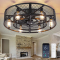26 - Inch Farmhouse Caged Ceiling Fan with Light, Remote & APP Control Quiet DC Motor E26 Bulbs Included Black - image 1