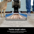 Shark CarpetXpert EX201 Carpet Cleaner, Cyan – Deep Cleaning with StainStriker, Perfect for Pets, Includes Spot & Stain Remover Tools - image 13