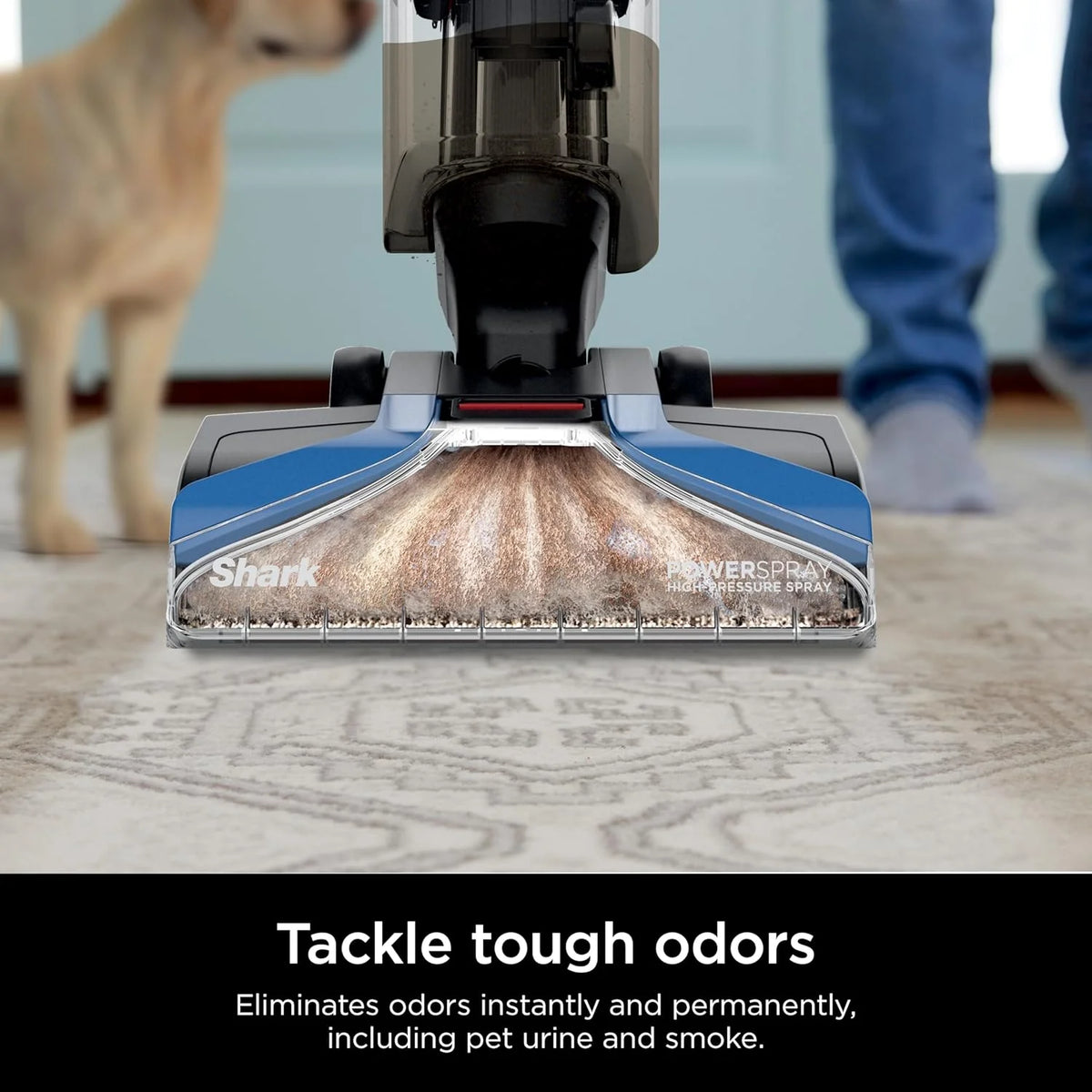 Shark CarpetXpert EX201 Carpet Cleaner, Cyan – Deep Cleaning with StainStriker, Perfect for Pets, Includes Spot & Stain Remover Tools - image 13