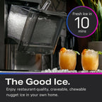 GE Profile Opal 2.0 with 0.75 Gallon Tank, Chewable Crunchable Countertop Nugget Ice Maker, Scoop included, 38 lbs in 24 hours, Pellet Ice Machine with WiFi & Smart Connected, Stainless Steel - image 10