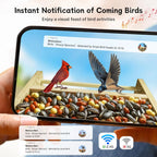 Feeder with Camera, Upgraded Smart Bird Feeder with Solar Powered, AI Identify for 10000 Plus Bird Species, Auto Capture Bird & Real-time Notifications, Ideal Gift for Bird Lovers - image 2