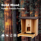 Feeder with Camera, Upgraded Smart Bird Feeder with Solar Powered, AI Identify for 10000 Plus Bird Species, Auto Capture Bird & Real-time Notifications, Ideal Gift for Bird Lovers - image 7