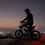 Electric Bike Q20, 2000W, 37Mph, 20" Fat Tires - image 14