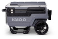 Premium Hard-Sided Cooler - image 1