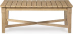 Signature Design by Ashley Clare View Coastal Outdoor Patio Eucalyptus Sofa with Cushions, Beige - image 46