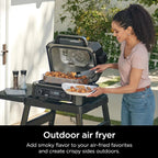 7-in-1 Grill & Smoker with Thermometer, Air Fryer, BBQ, Bake, Roast, Broil - Portable Electric Outdoor Grill, Grey - image 10