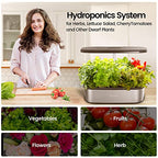 LetPot LPH-SE Hydroponics Growing System, 12 Pods Smart Herb Garden Kit Indoor - image 4
