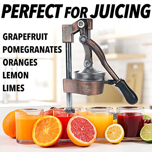 Zulay Kitchen Cast Iron Orange Juice Squeezer Heavy Duty, Easy to Clean, Professional Citrus Juicer Durable Stainless Steel Lemon Squeezer Sturdy Manual Citrus Press & Orange Squeezer (Copper): Home & Kitchen - image 2
