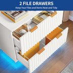Moasis Lateral Filing Cabinet with LED Lighting and 2 Drawers for Home Office - image 16