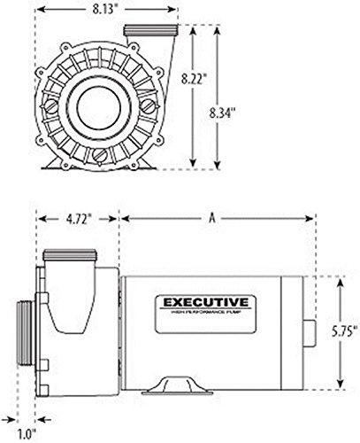 4.5-HP 230V Two-Speed Spa Pump, Side Discharge, 48-Frame - image 3